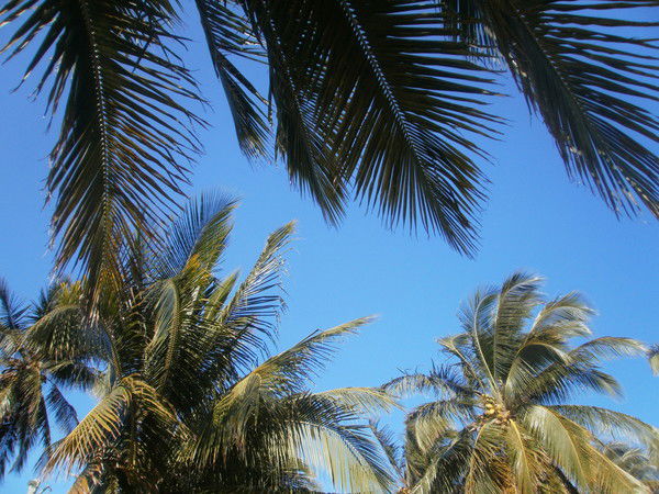 Денис Вячеславович