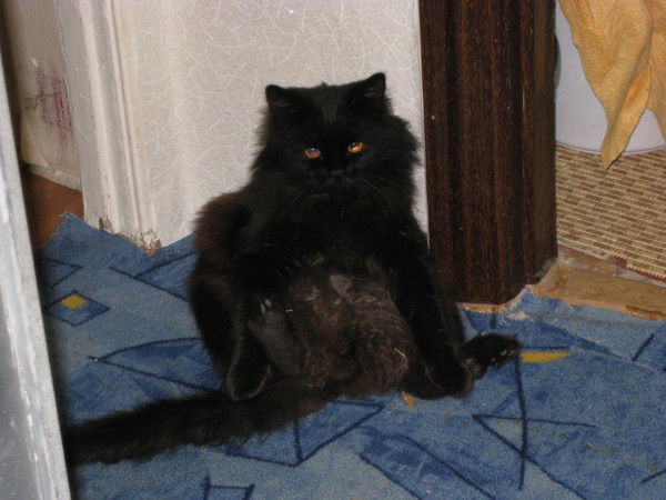 Евгений Иванов