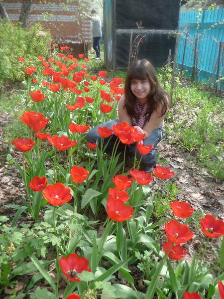 Анна Шильцова