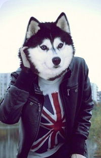 Павел Бобков