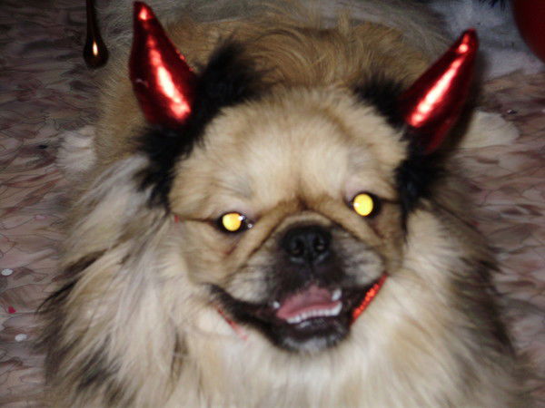 Василий Зыков