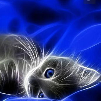 Руслан Шева