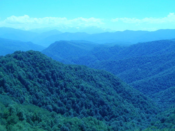 Андрей Викторович Р