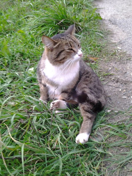 Артём Тронько