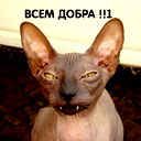 Игорь Прохоров