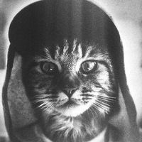 Богдан Маслей