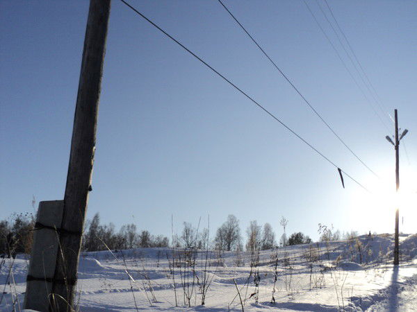 Галина Цикунова