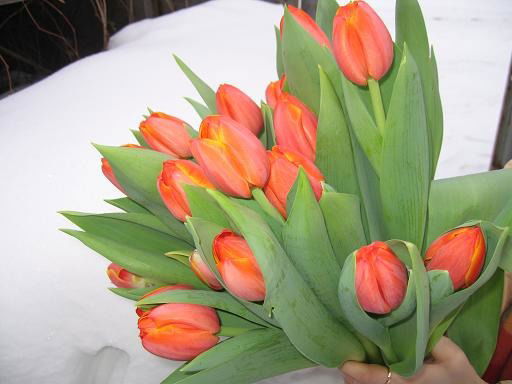 Канон-Т Валерий Тюрин