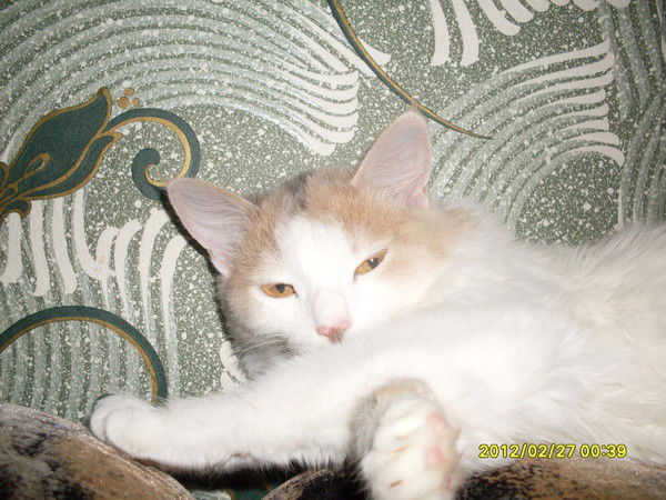 Сергей Бурдюк