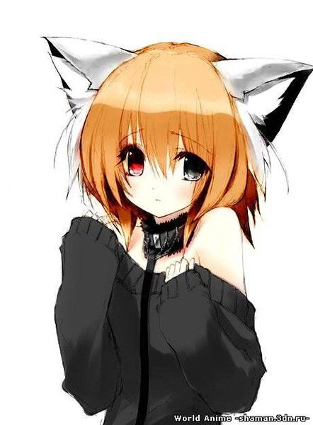 Фанатик Котэ