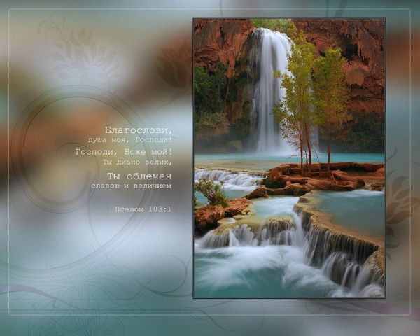 Светлана Прозорова