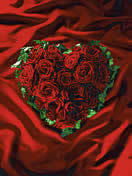 Алина Бурцева