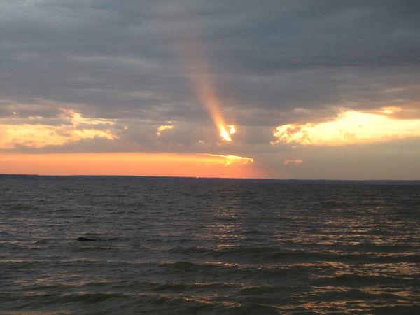 Ekaterina Sevostyanikhina