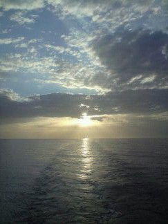 Виктория Гайдукова