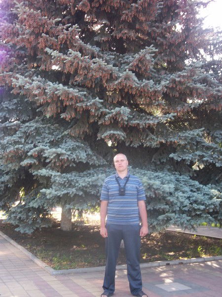 Александр Шестаков