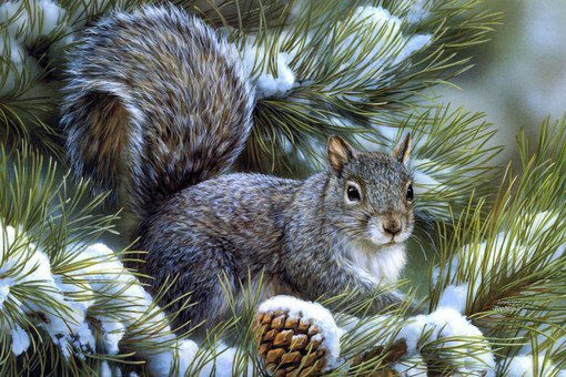 Светлана Цыбан