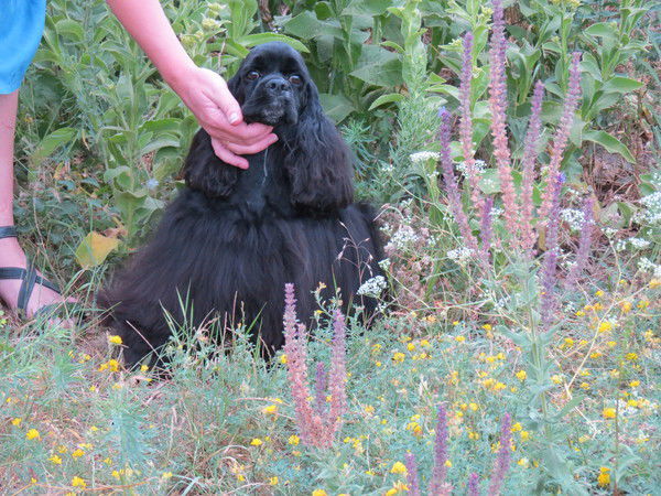 Татьяна Мельник