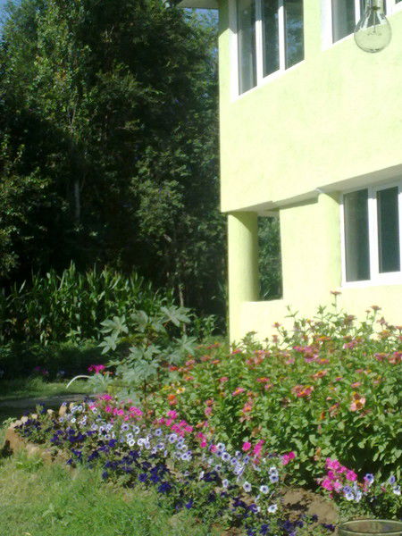 Багила Ажибекова