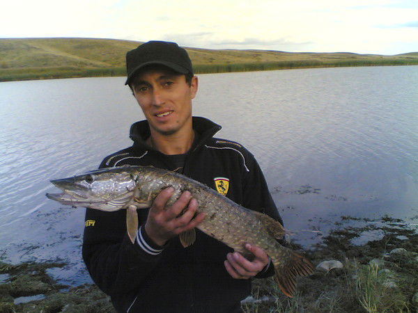 Василий Железняк