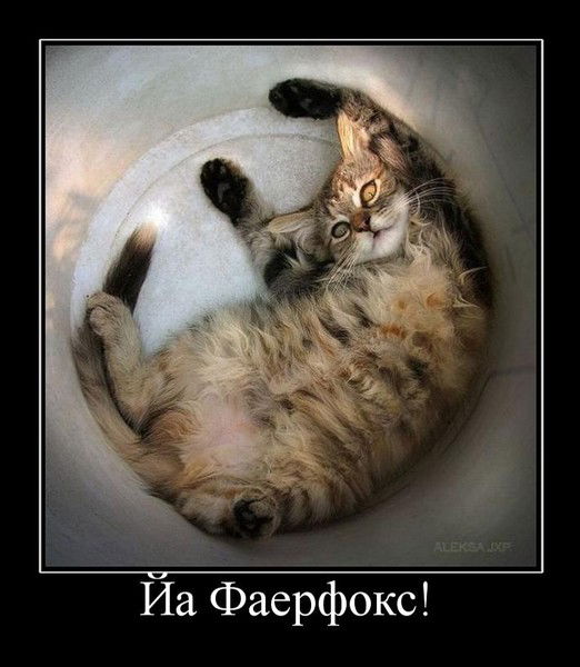 Азамат Палыч