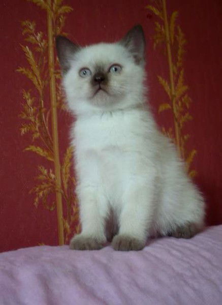 Татьяна Кузьмичёва