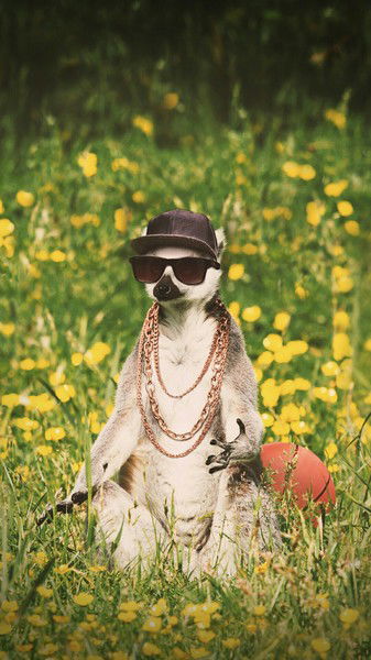 Димончик Кокс