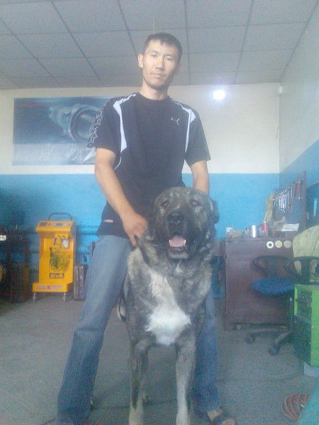 Ержанат Накенов