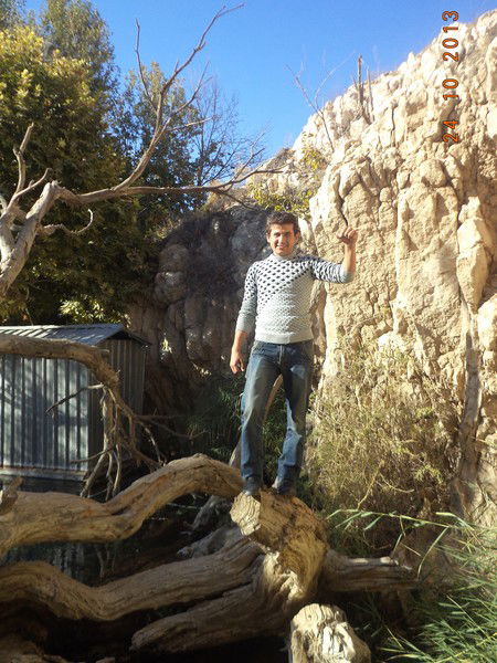 Алекс Мирзоалиевич