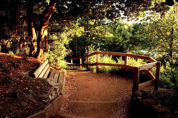 Галина Шереметьева