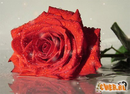 Сакен Альжанов