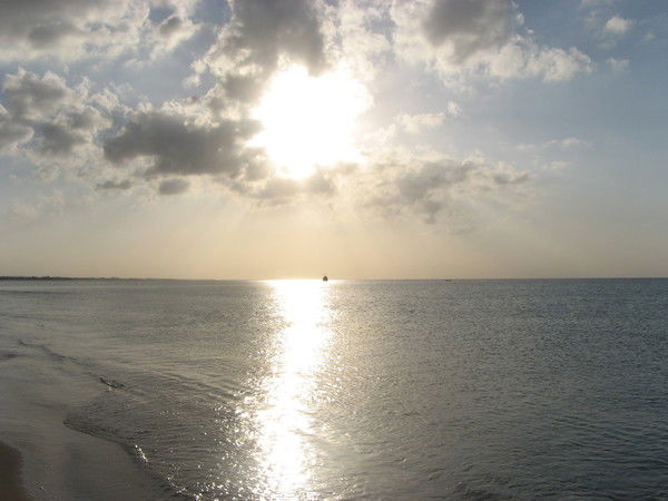 Елена Мазина