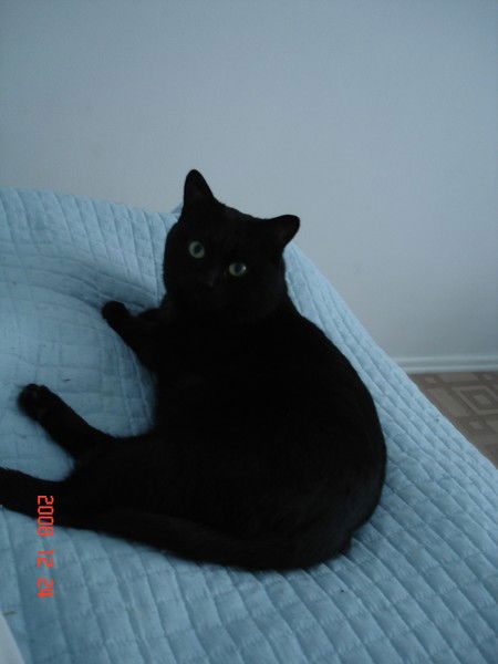 Людмила Ревякина