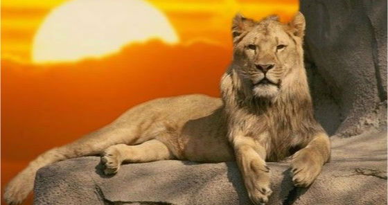 @@@наталья @@@