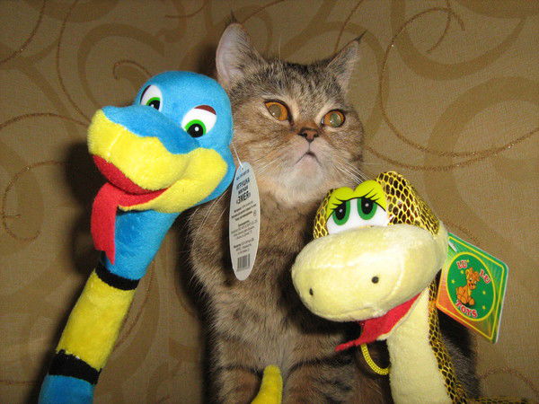 Евгения Багаева