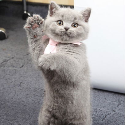 Даша Чудакова