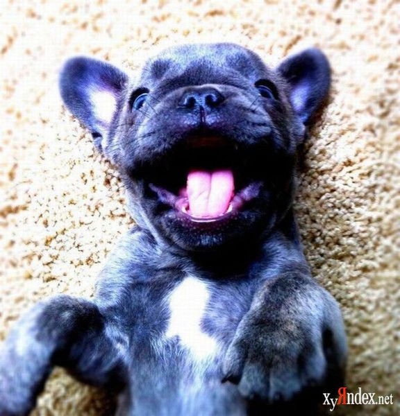 Владимир Порошин