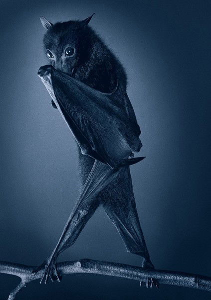 Алиса Иванова