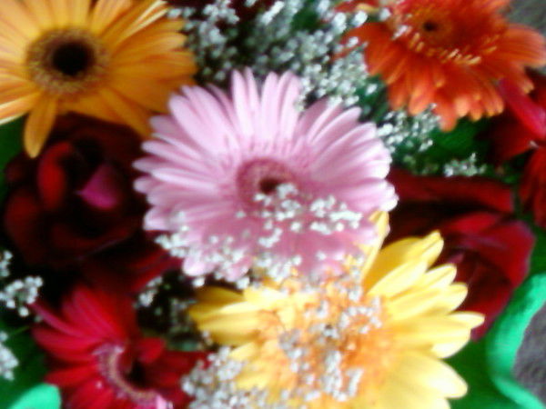 Галя Алексеевна