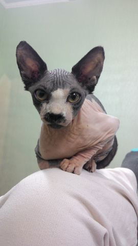 Наталья Таран