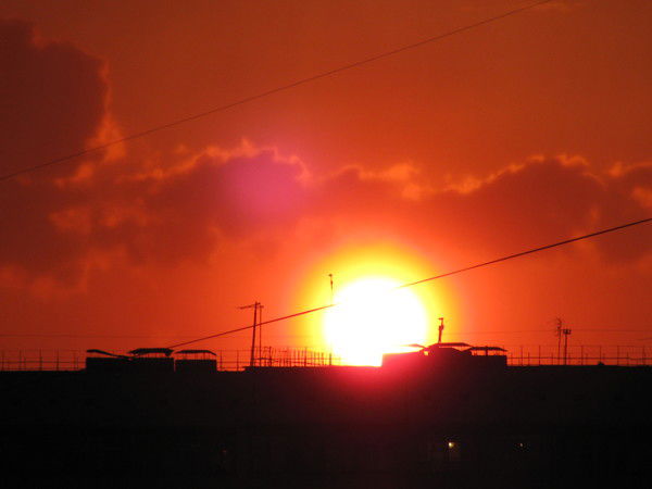 Леночка Костенко