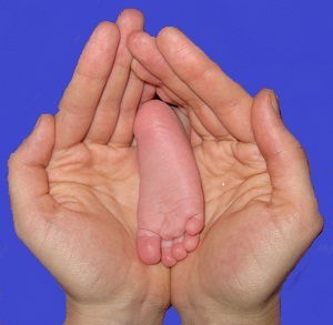 Светлана Боева