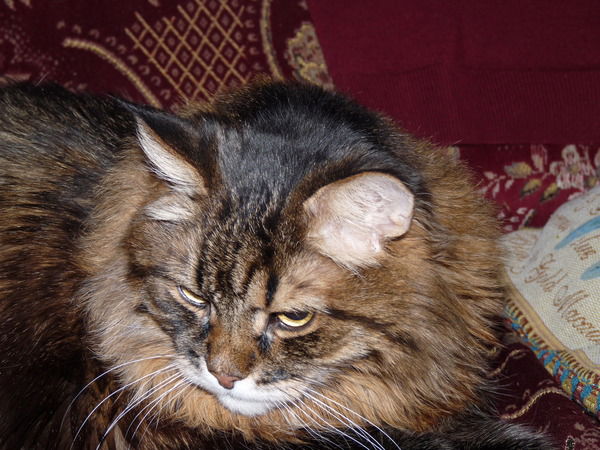 Александр Иванов