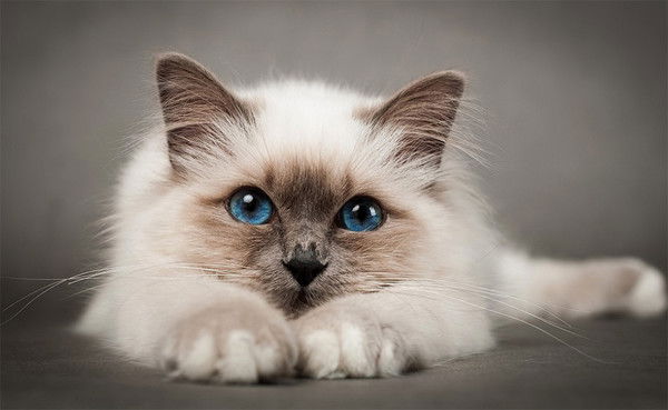 Екатерина Краснова