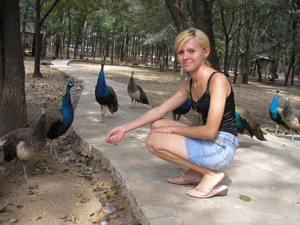 Оксана Мильевич