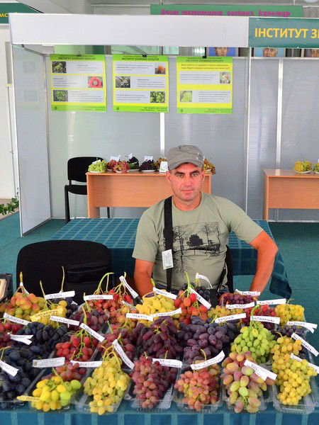 Михаил Гречко