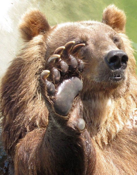 Леонид Ильич