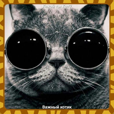 Анна Васина