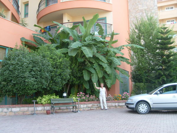 Ирина Басырова