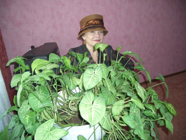 Наталия Колосова