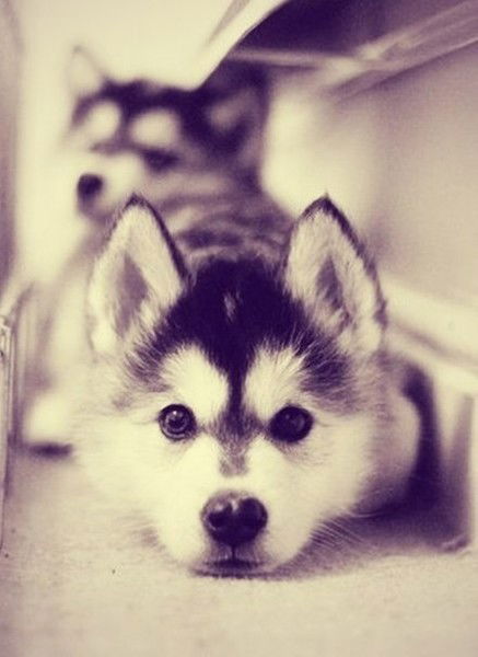 Жанар Каппасова